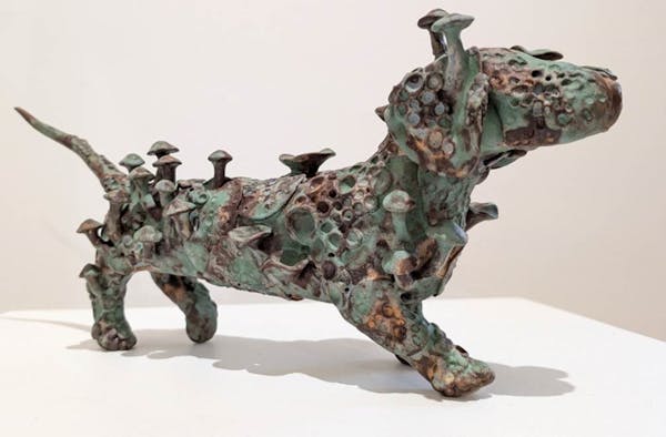 Fungi - The Third Kingdom at Crisp Galleries