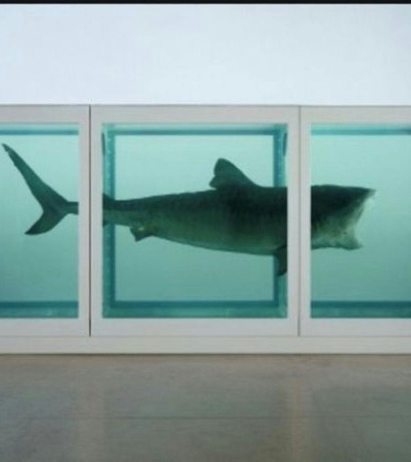Damien Hirst and Contemporary Art
