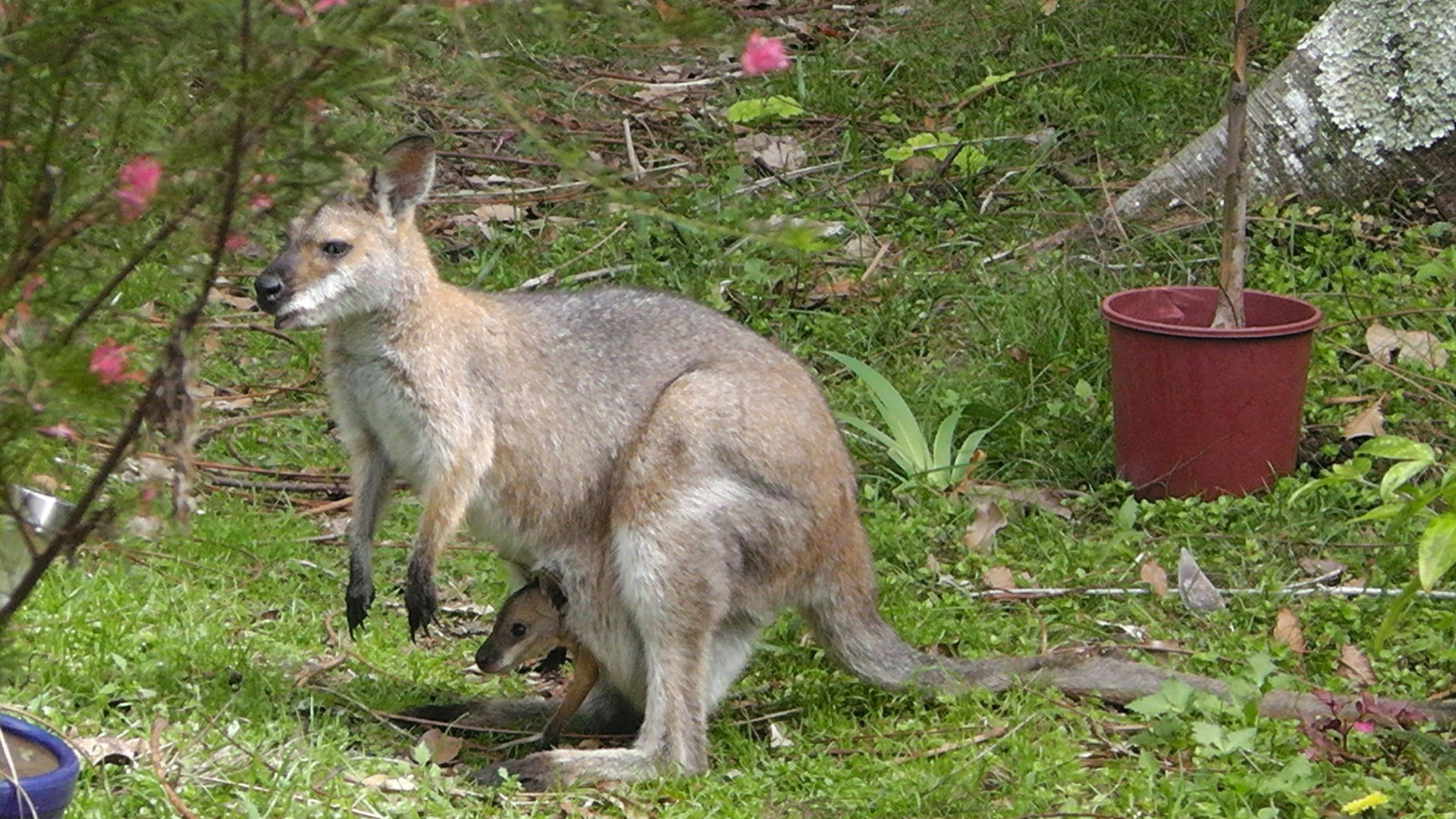 에단 가든 웰빙 스페이스 하우스