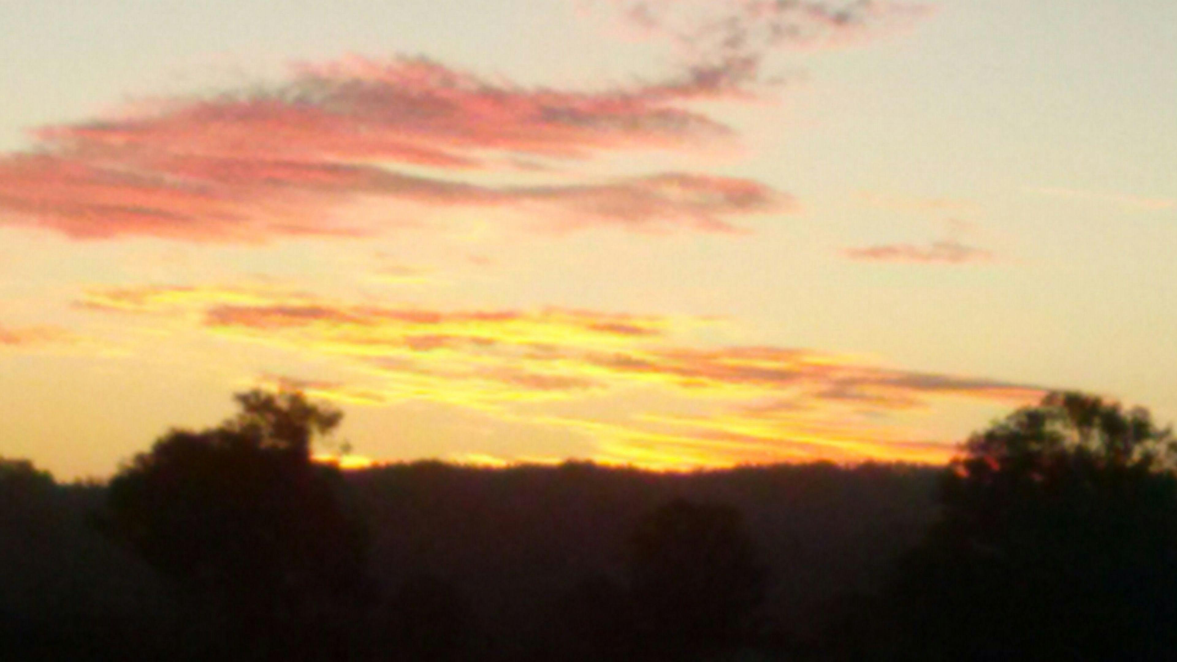 에단 가든 웰빙 스페이스 하우스