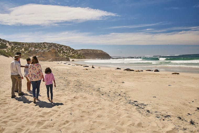 Seal Bay Sunset Experience Tour