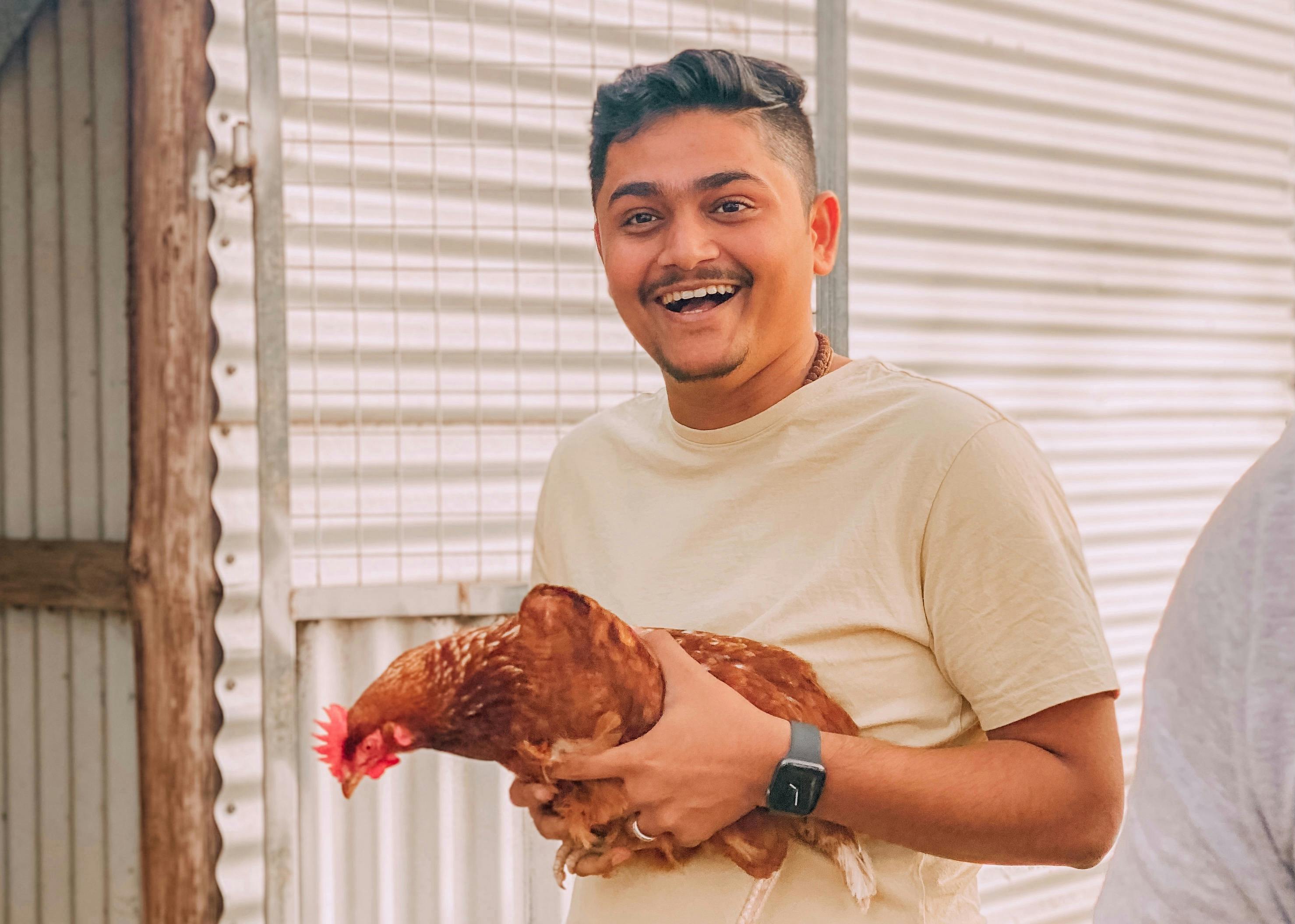 Hand feed chicken cuddle animals animal experience