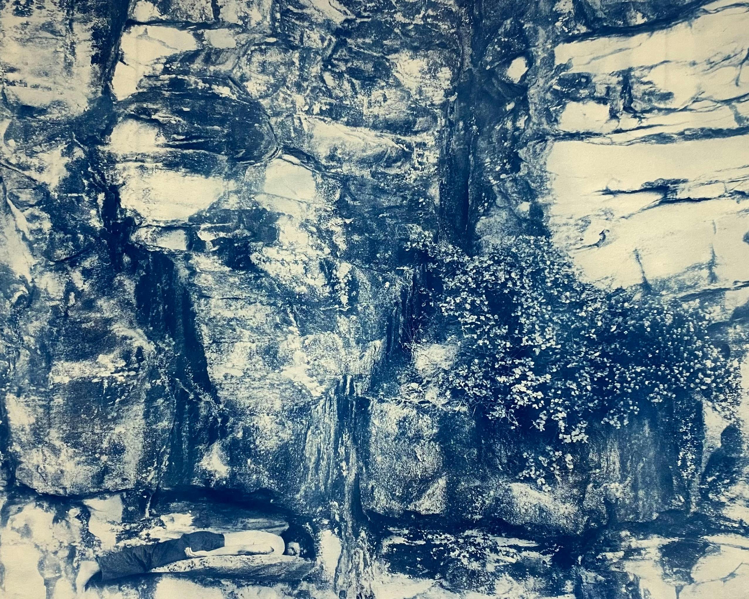 cyanotype of forrest view