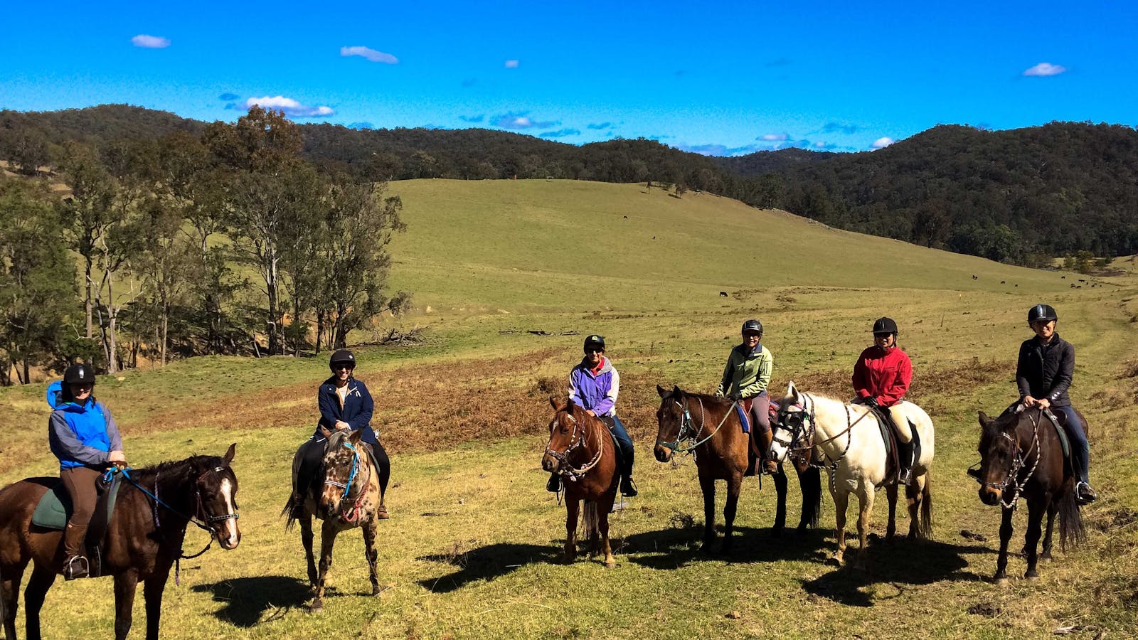 Chapman Valley Horse Riding & Camping