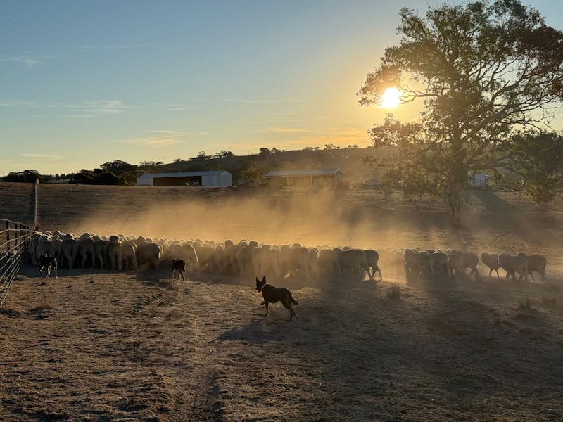 Image for Stoneleigh Cottage