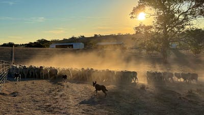 Stoneleigh Cottage Farm Life