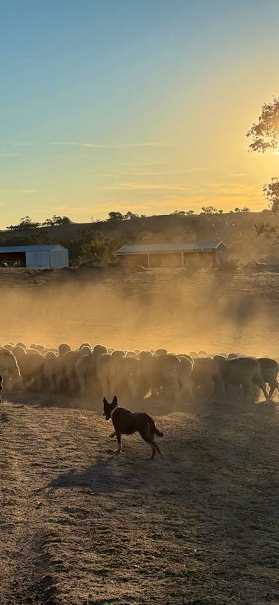 Stoneleigh Cottage Farm Life