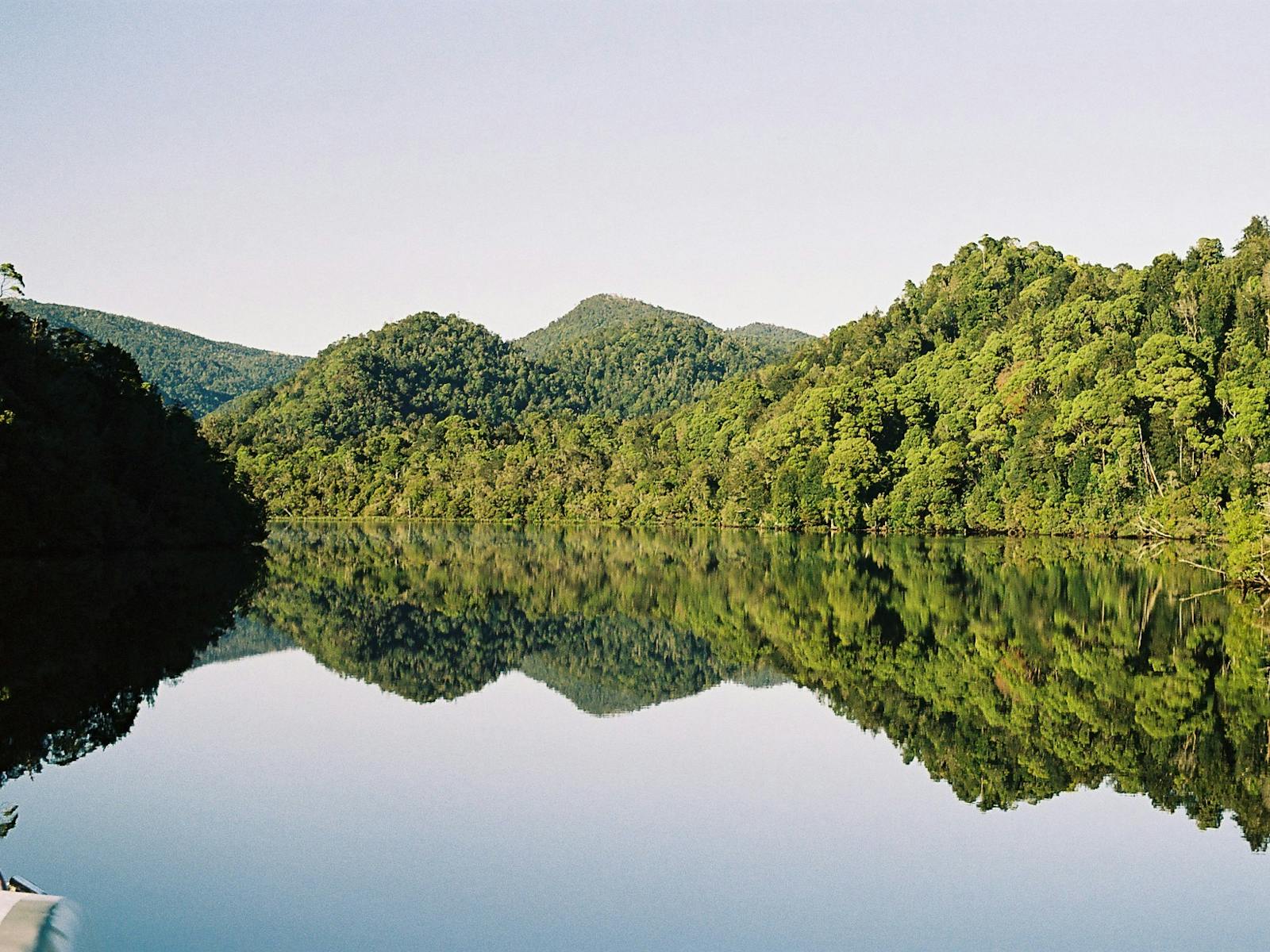 Reflections on the Gordon River UNESCO World Heritage wilderness