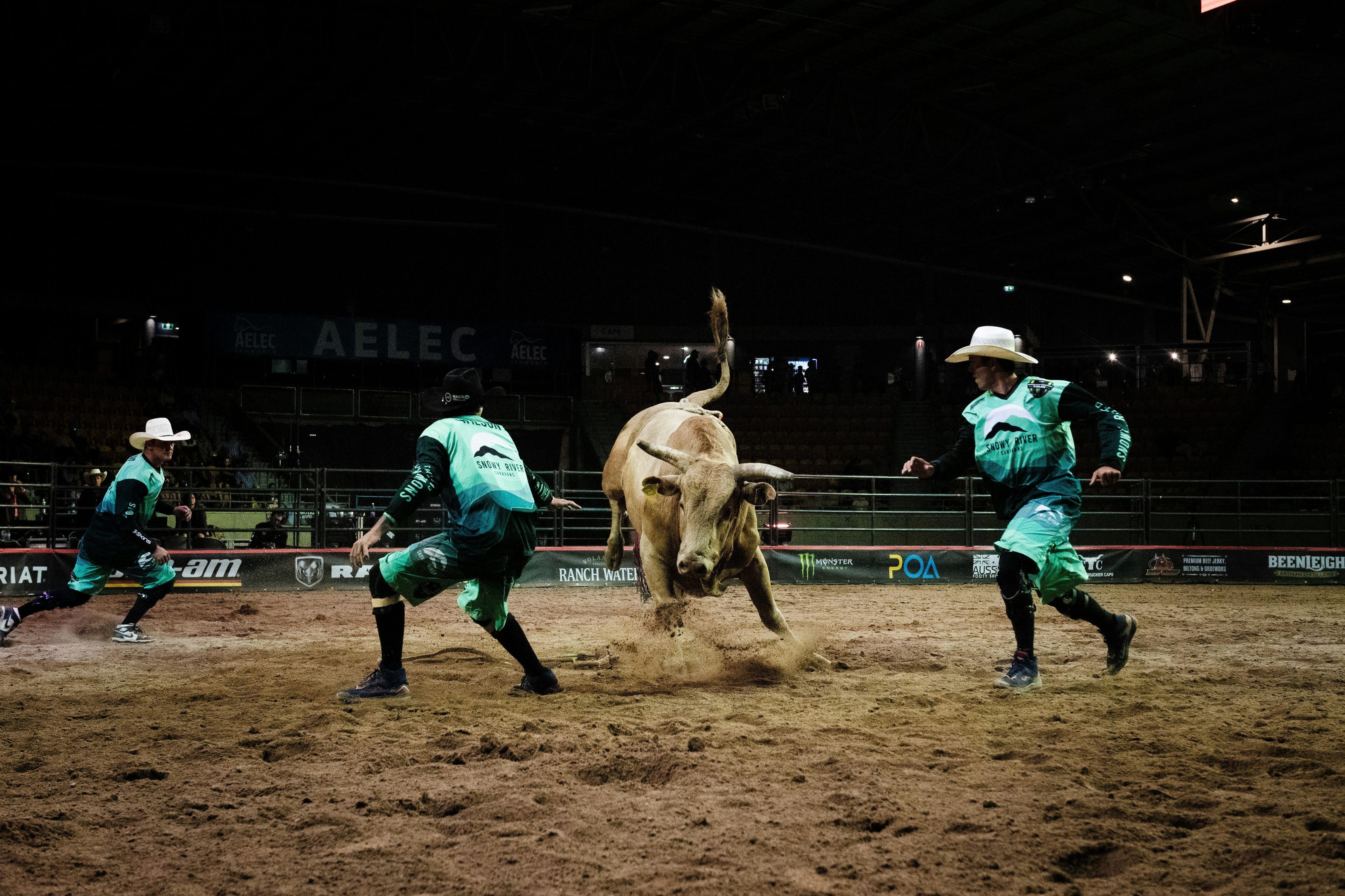 Protection Athletes in action at PBR