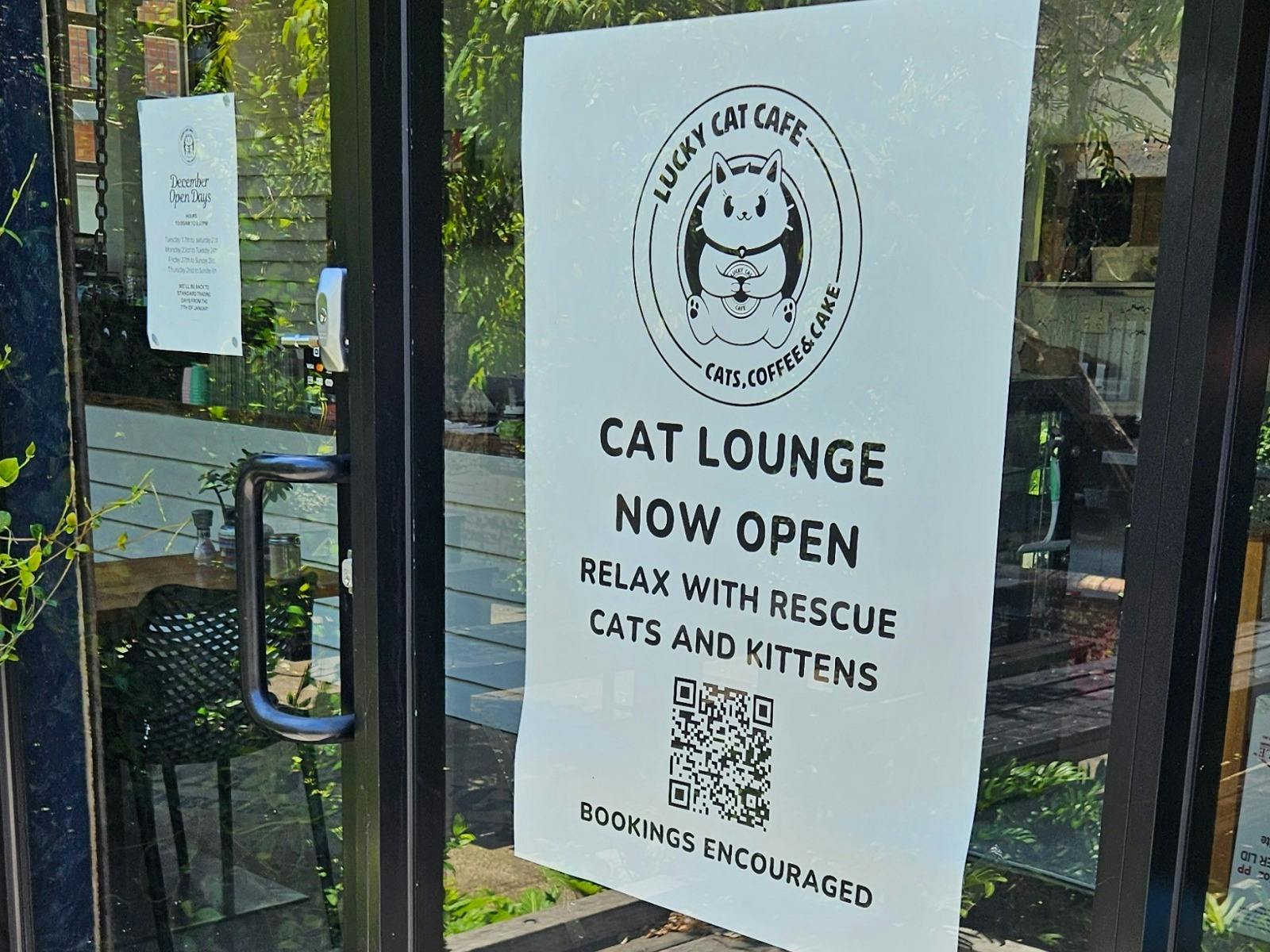 Lucky Cat Cafe Ipswich