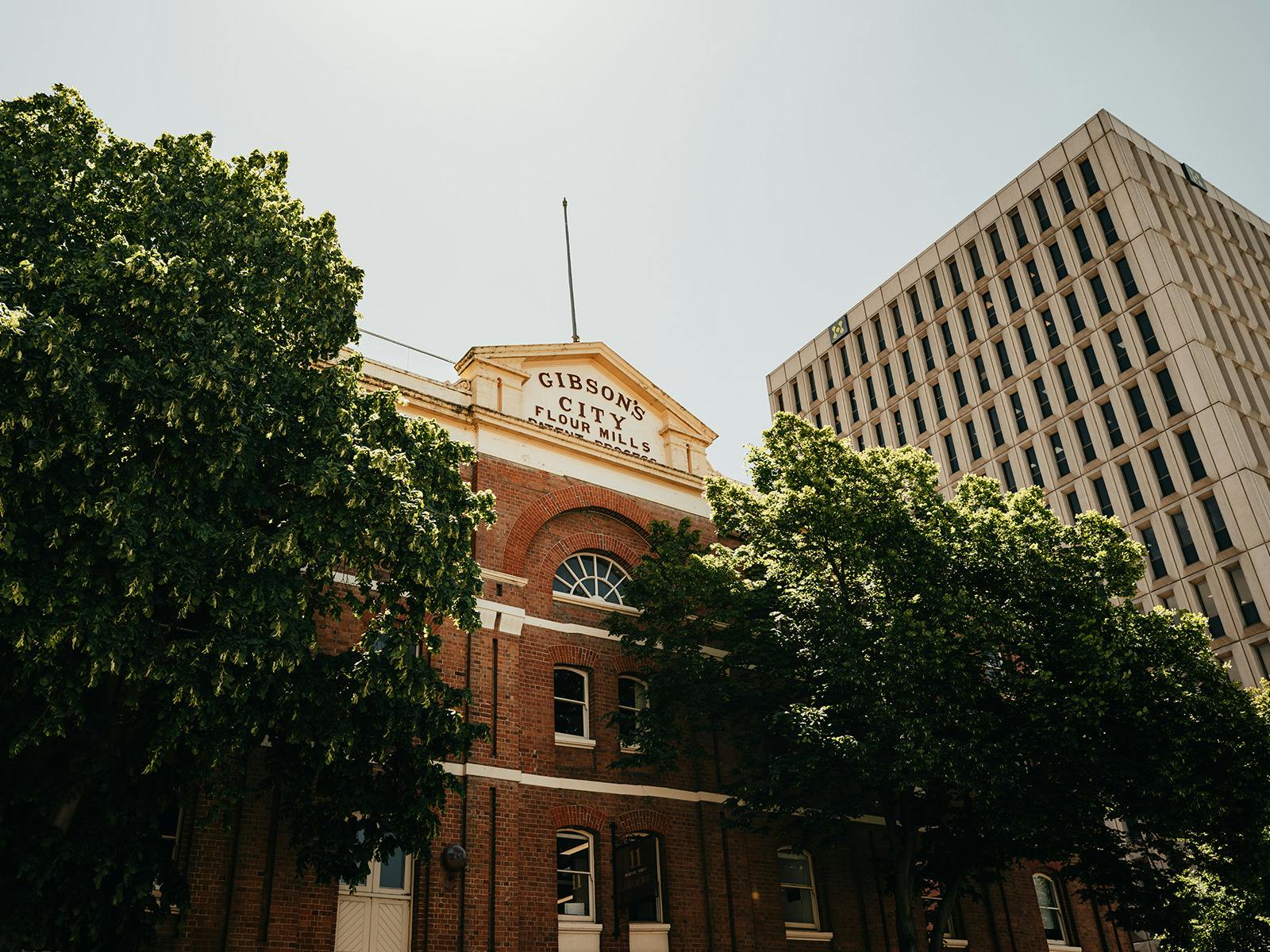 Heritage brick mill building exterior with arched windows, framed by tree foliage.
