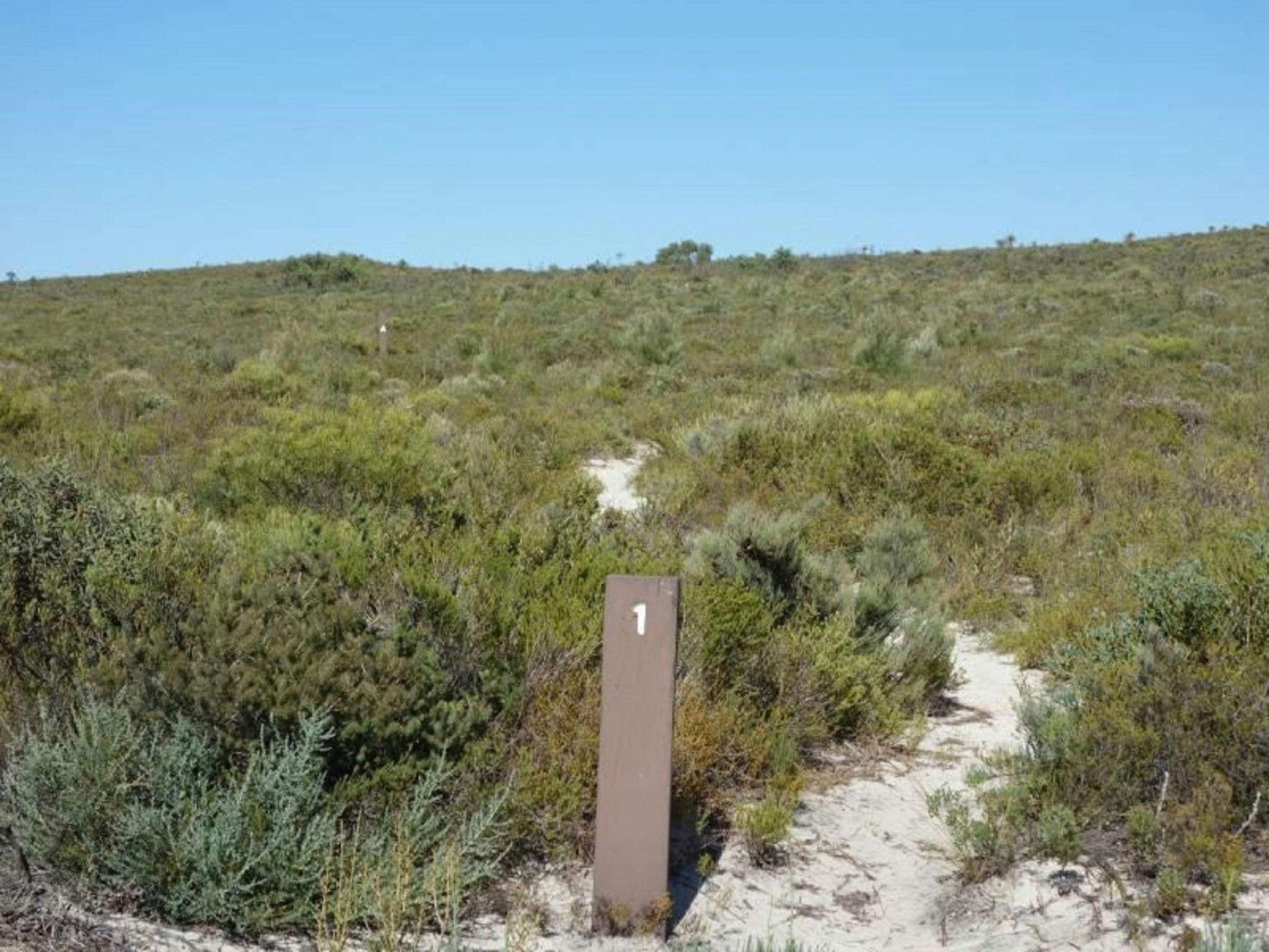 Badgingarra Nature Trail , Badgingarra, Western Australia