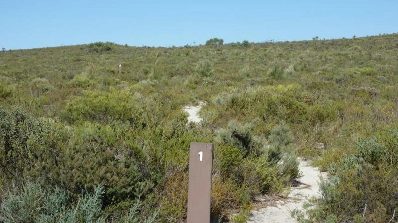 Iain Wilson Nature Trail