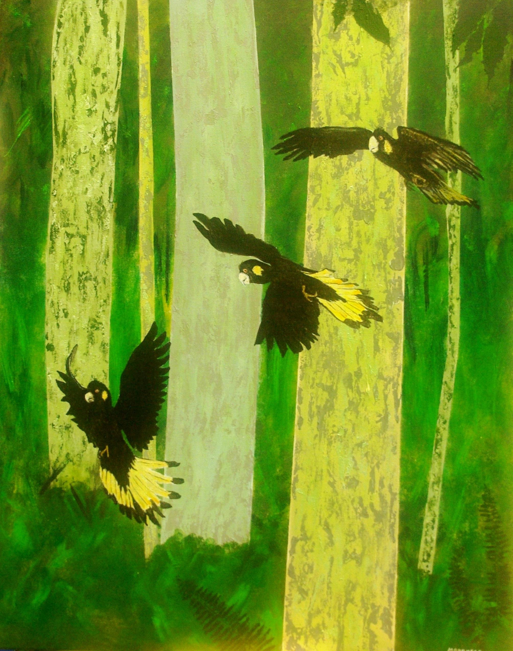 TIM MOORHEAD
