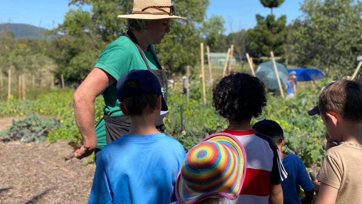 School Excursion in the garden