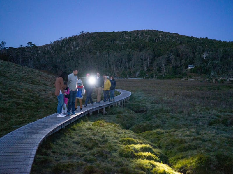 Night Spotting on the Board Walk