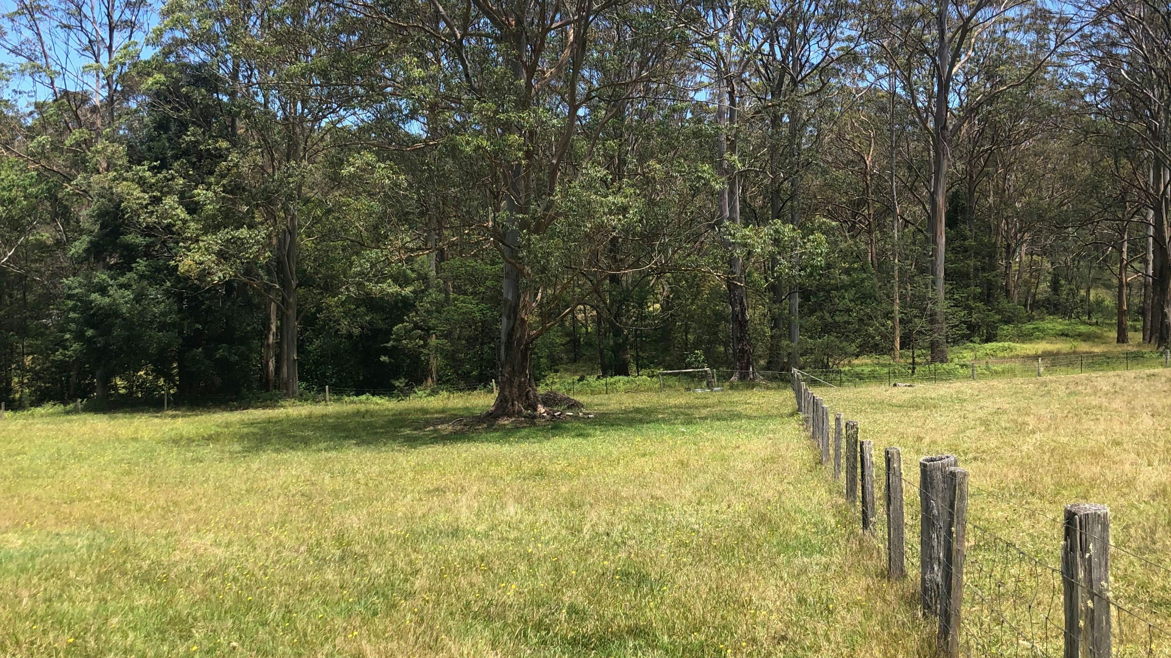 Edendale Farm- 4mins from beach