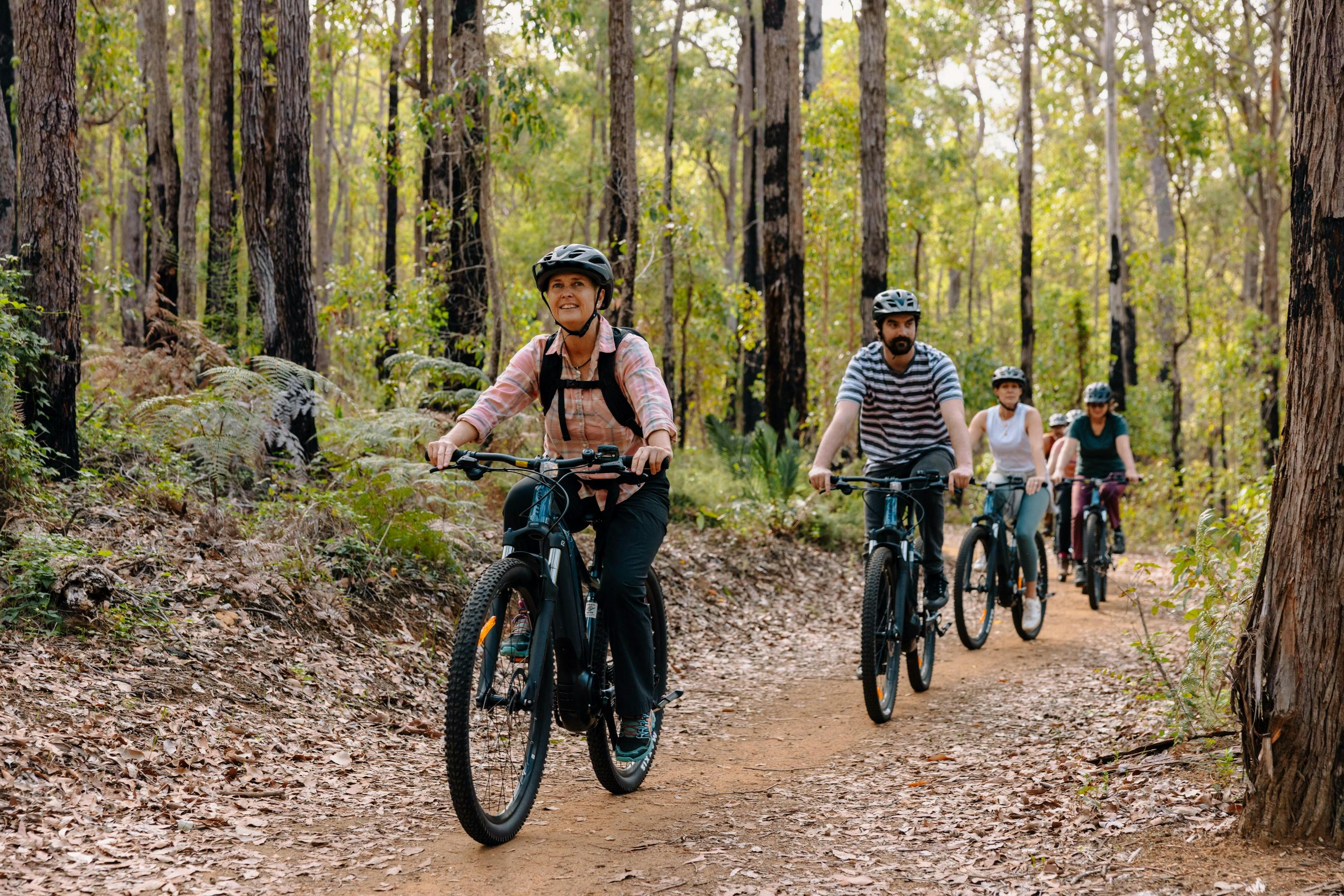 Ebike tours