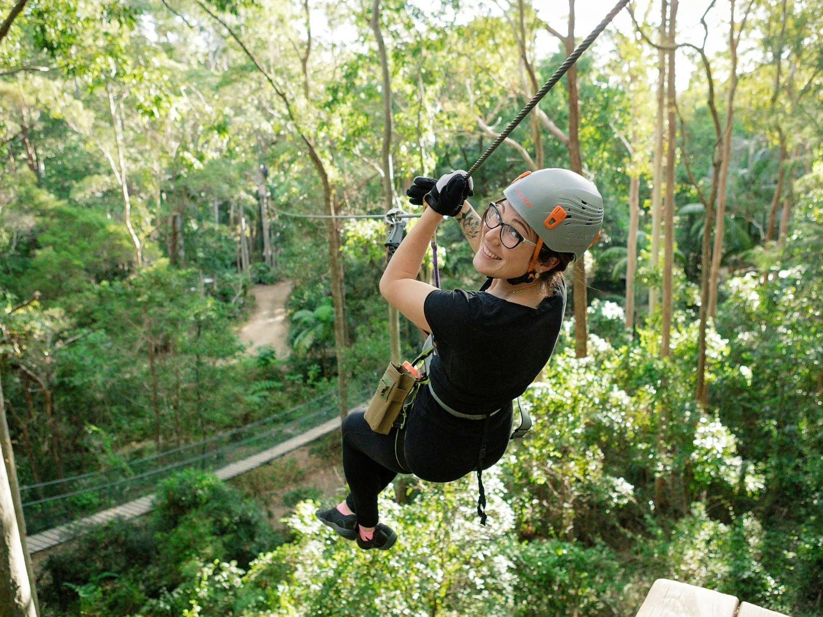 Treetop Challenge Attractions Queensland