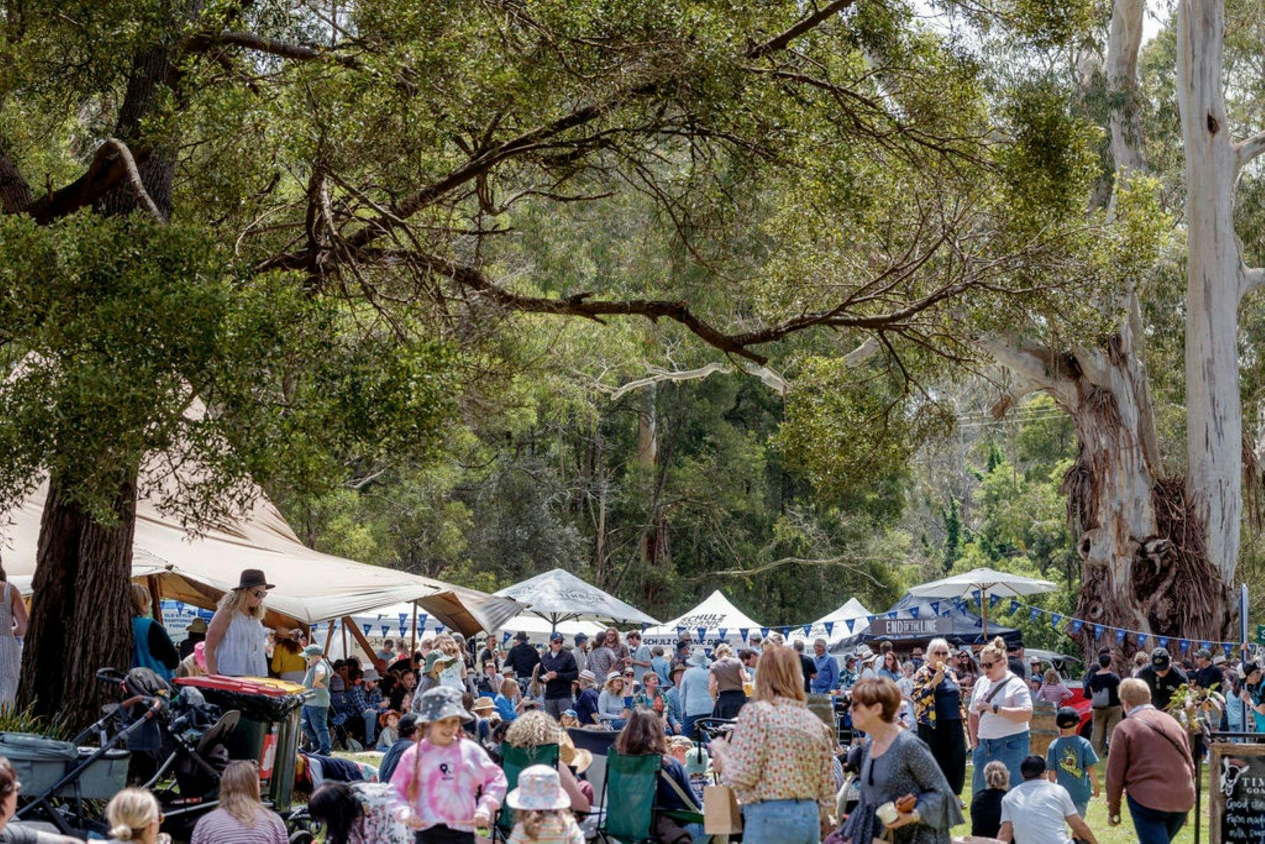 Festival goers and stalls