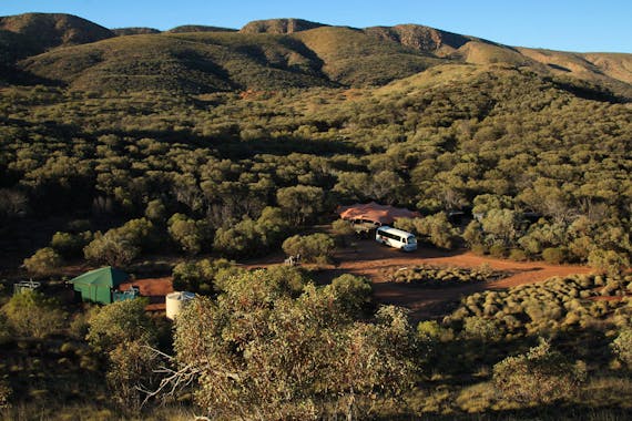 Classic Larapinta Trek in Comfort - 6 Days