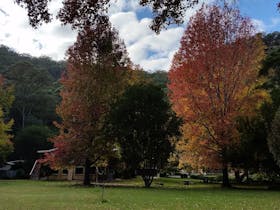 Quiet Natural Setting