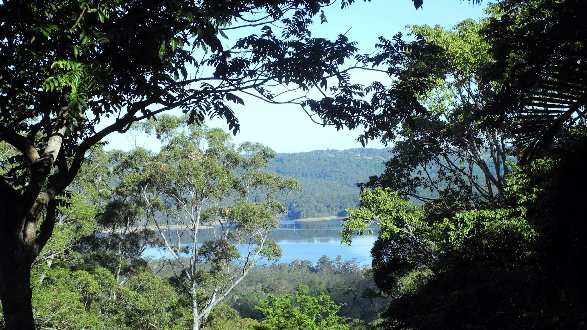 The view from Maple Cottage at Montville Grove The view from Maple Cottage at Montville Grove