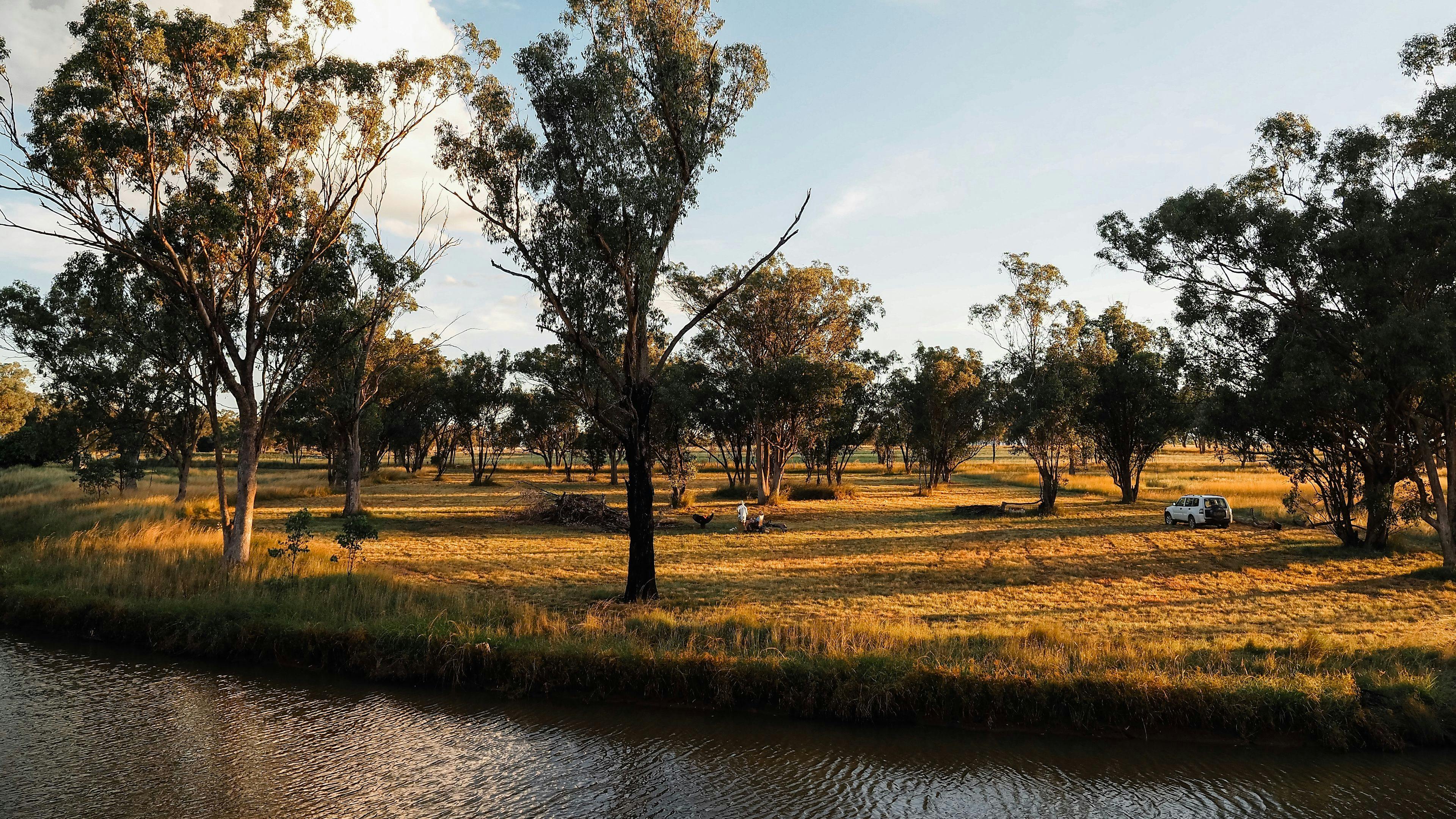 The farm’s dam is right next to the campsite and great for swimming dogs. Please ensure children are supervised at all times.
