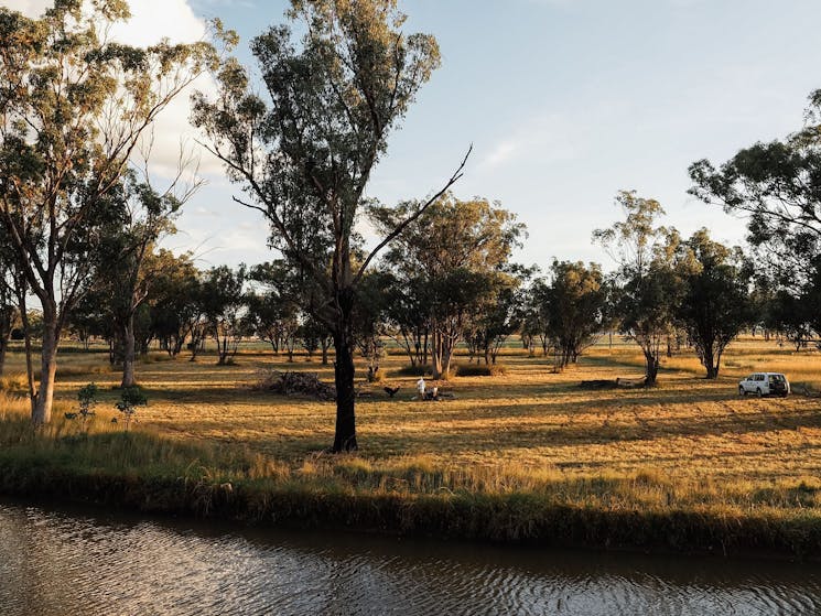 The farm’s dam is right next to the campsite and great for swimming dogs. Please ensure children are supervised at all times. 