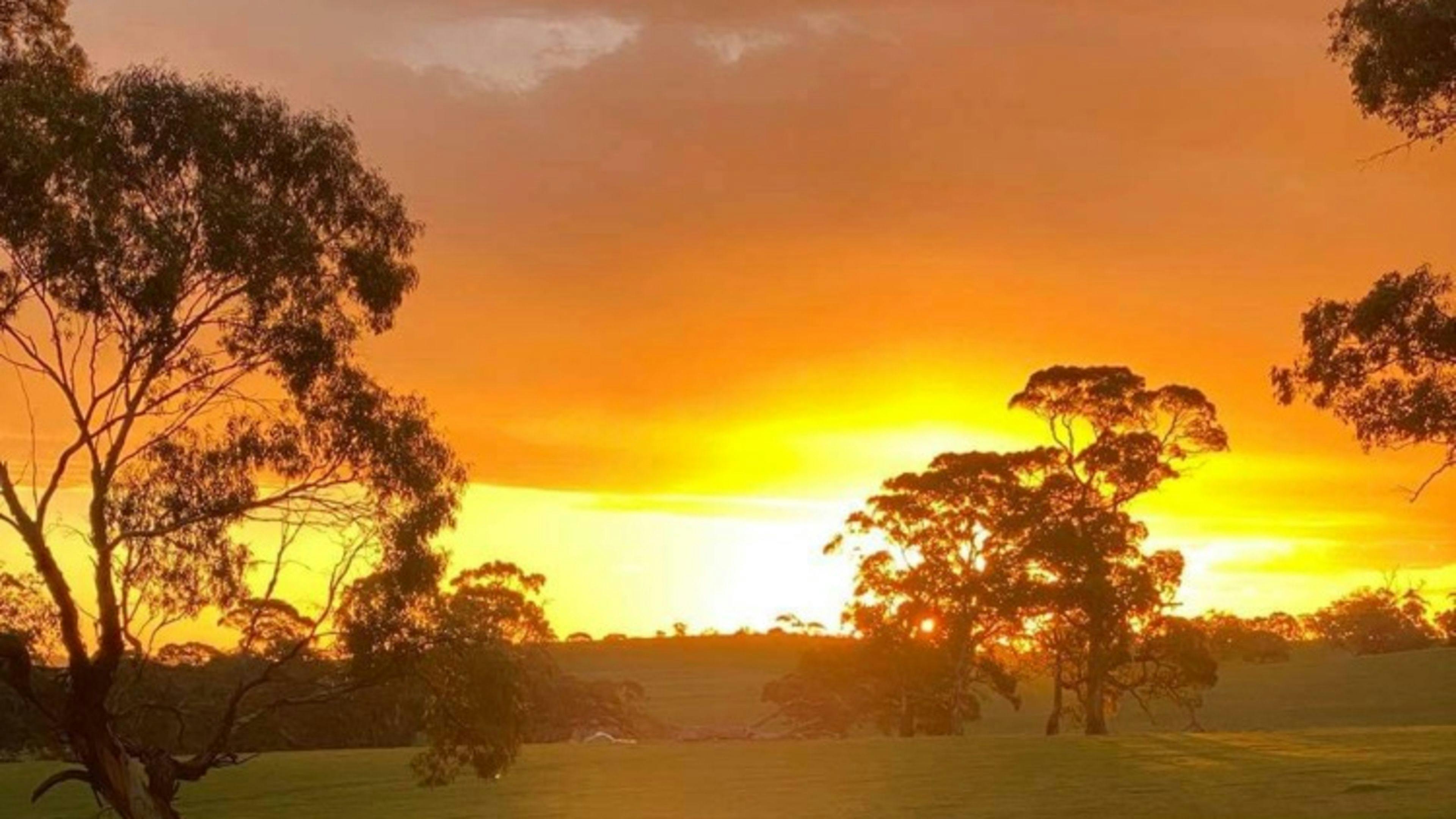 Edgehill Farm Stays Riverton