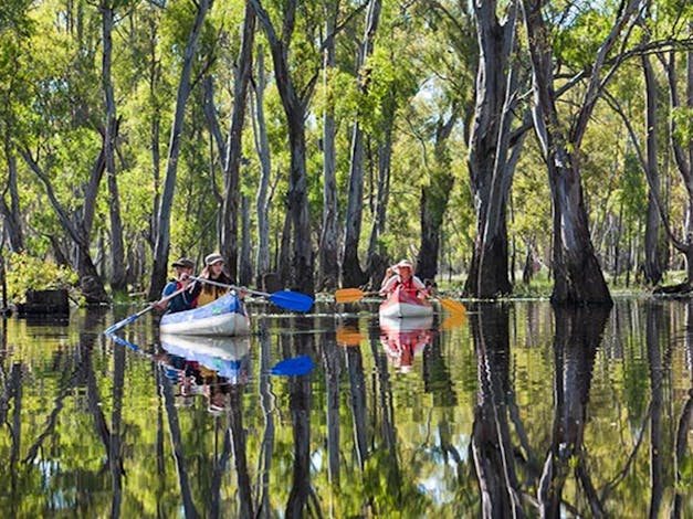 Edward River canoe and kayak trail