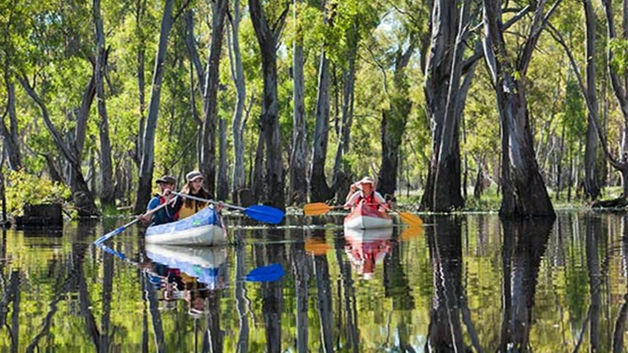 Edward River canoe and kayak trail