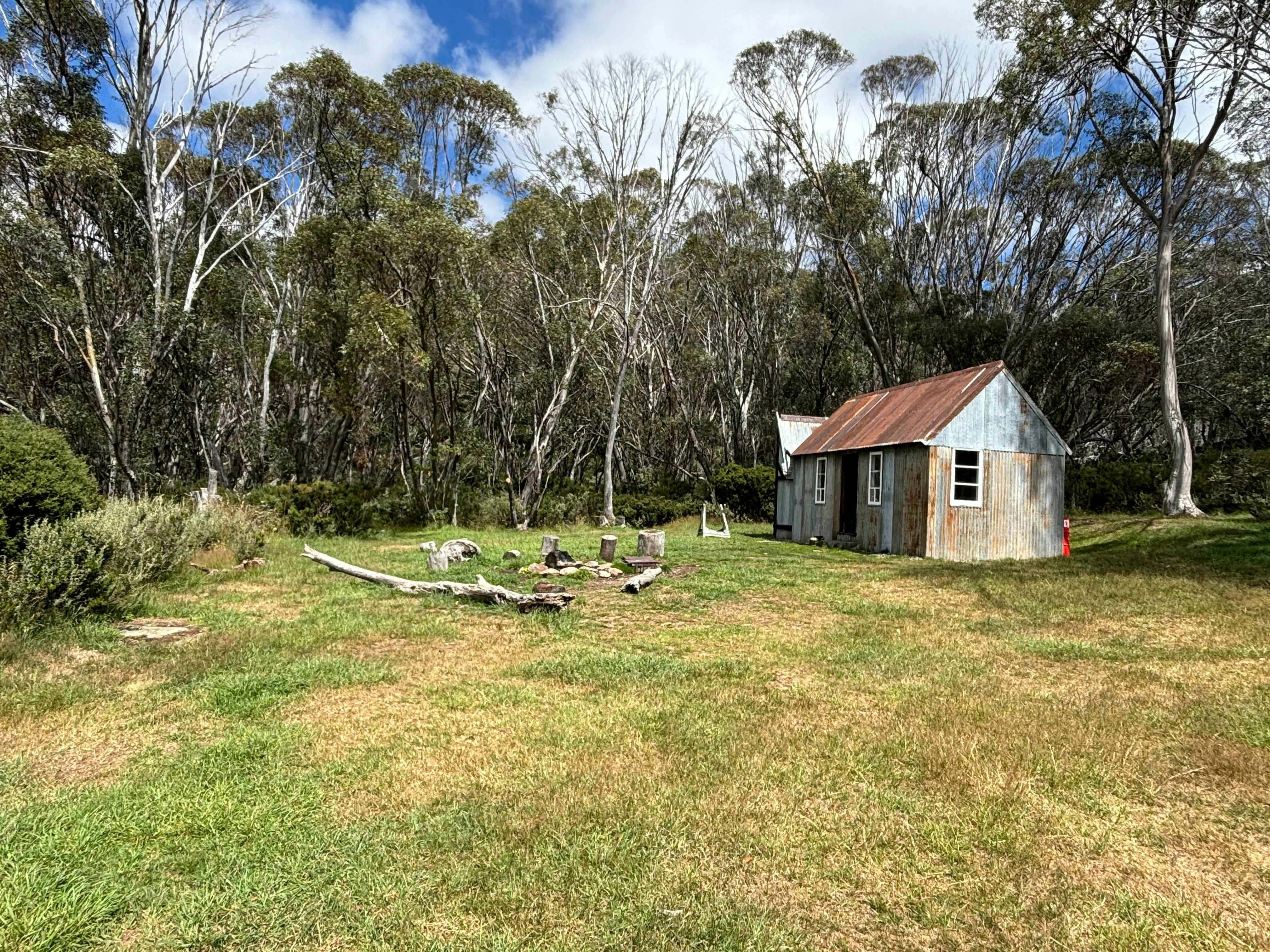 Small tin hut with bright red door nestled amongst gum trees.