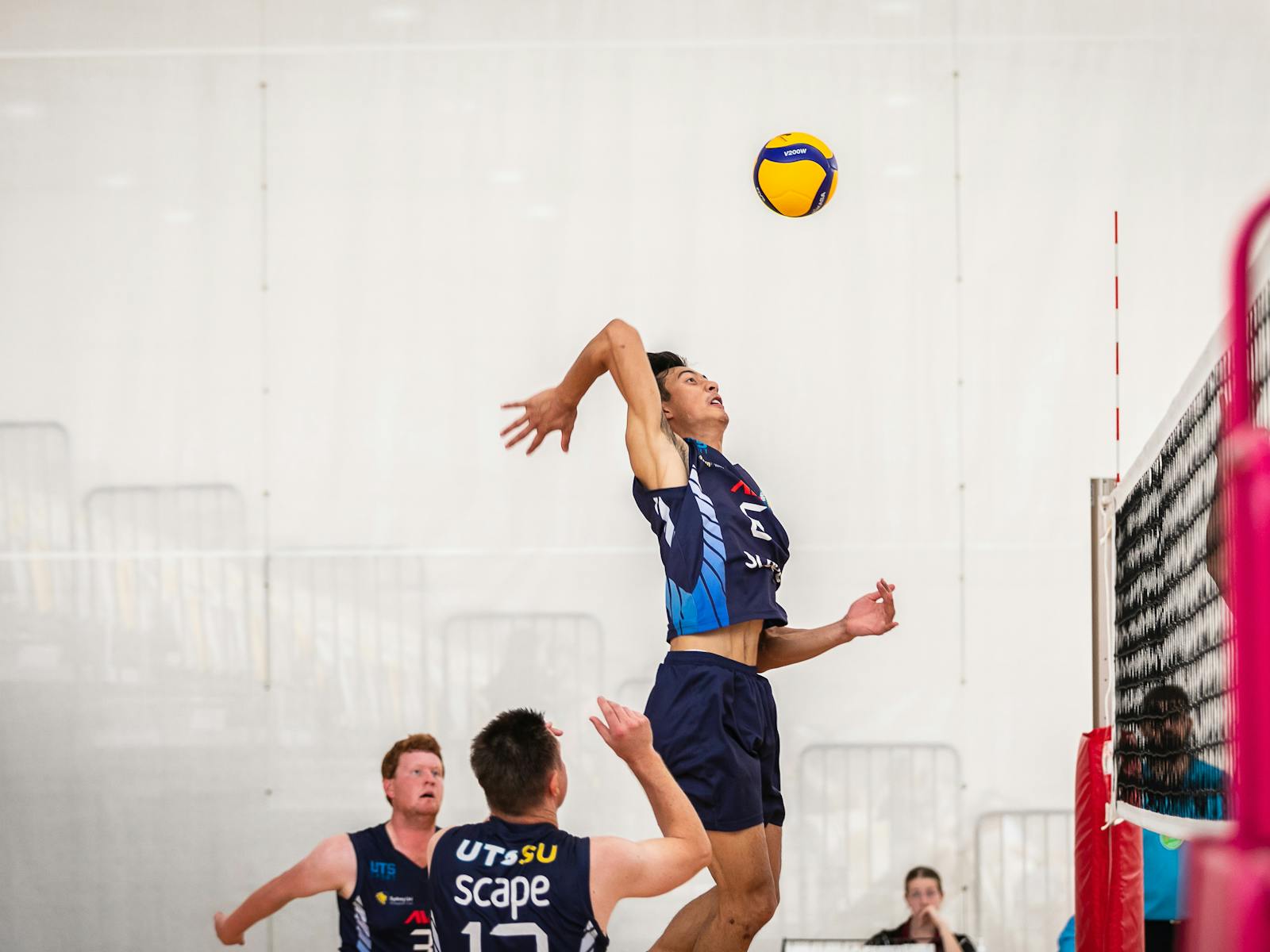 Image for Australian Youth Volleyball Championships