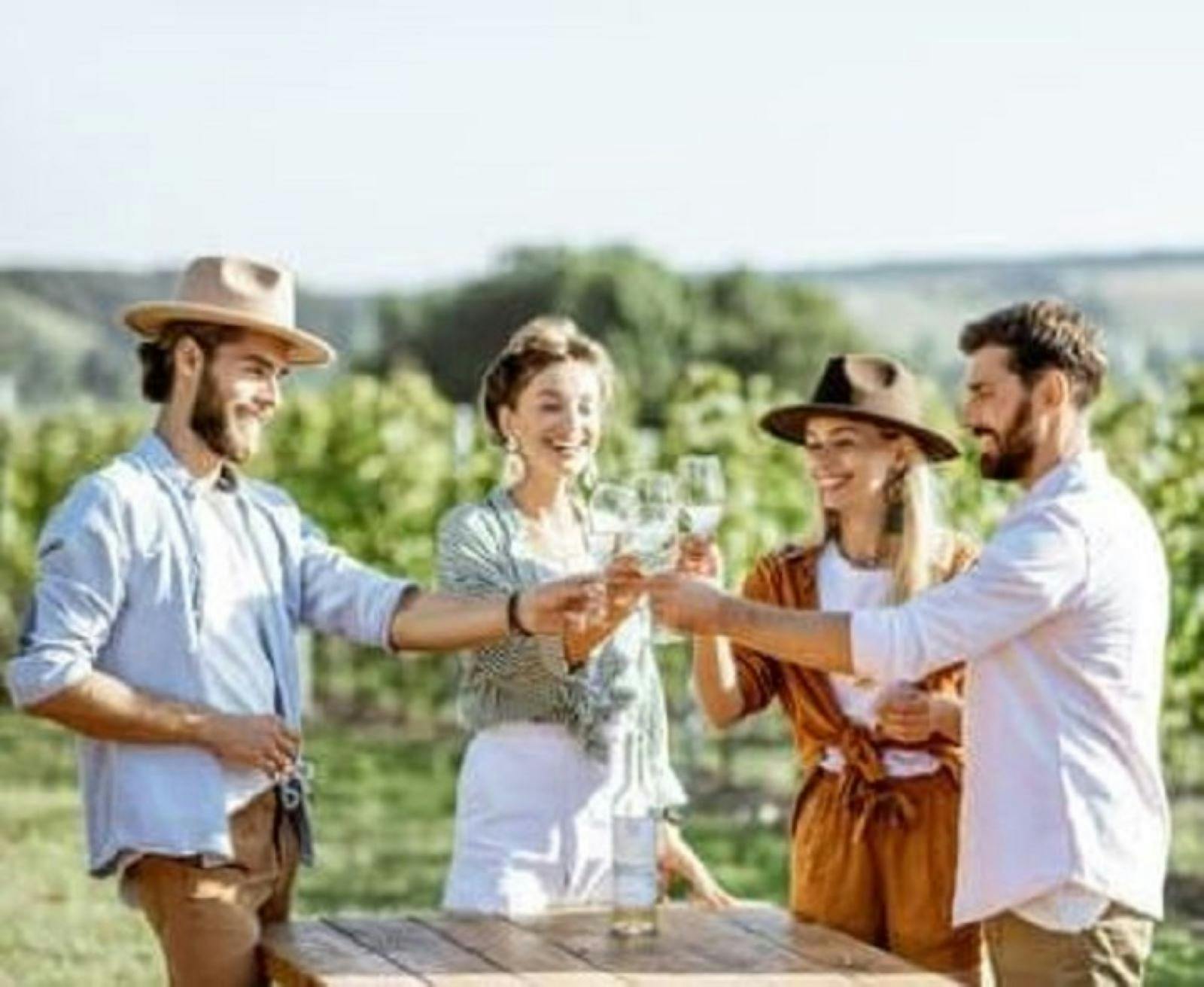 Mount Tamborine Food & Wine Tour