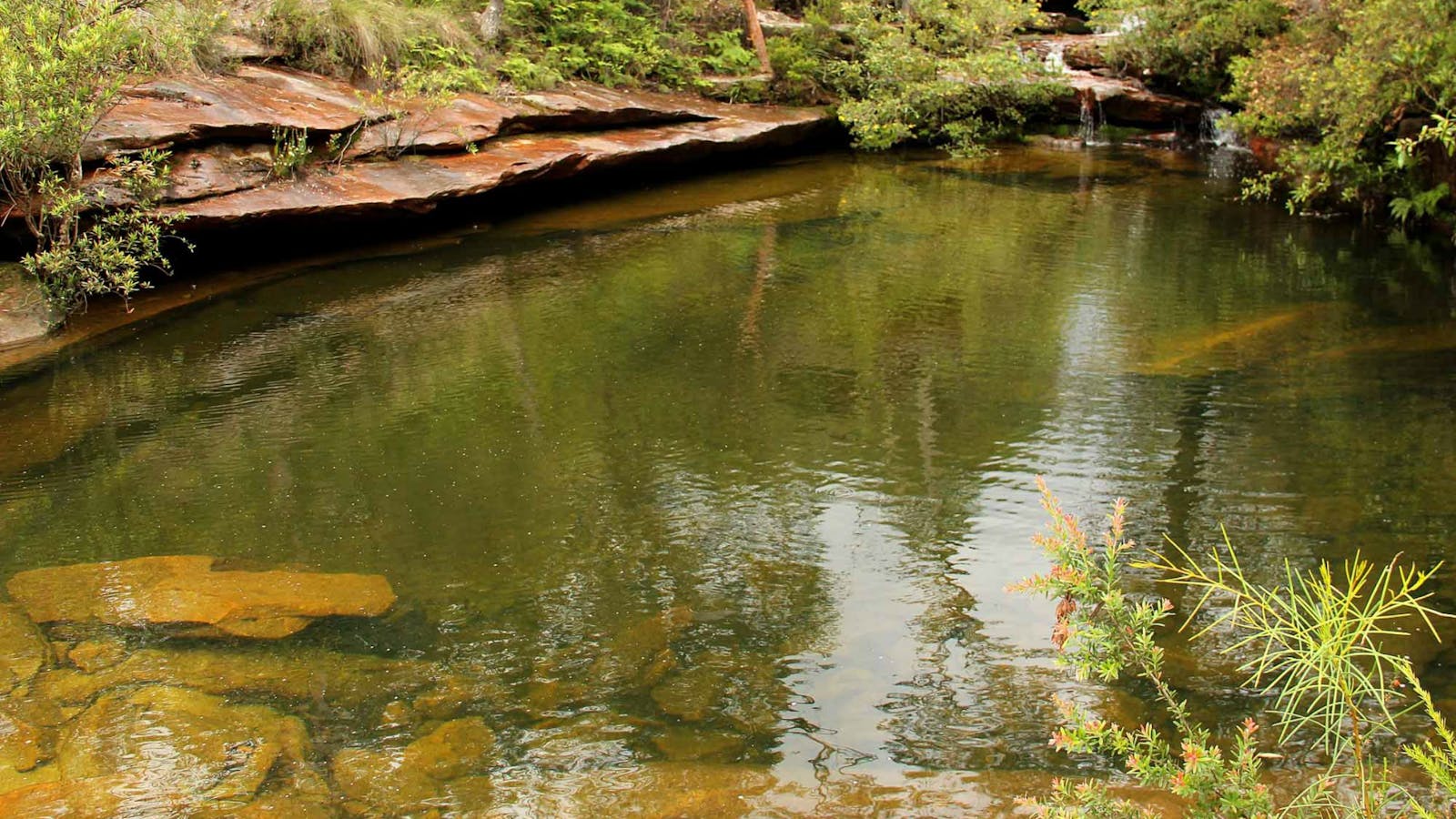 Hominy Creek Walking Track