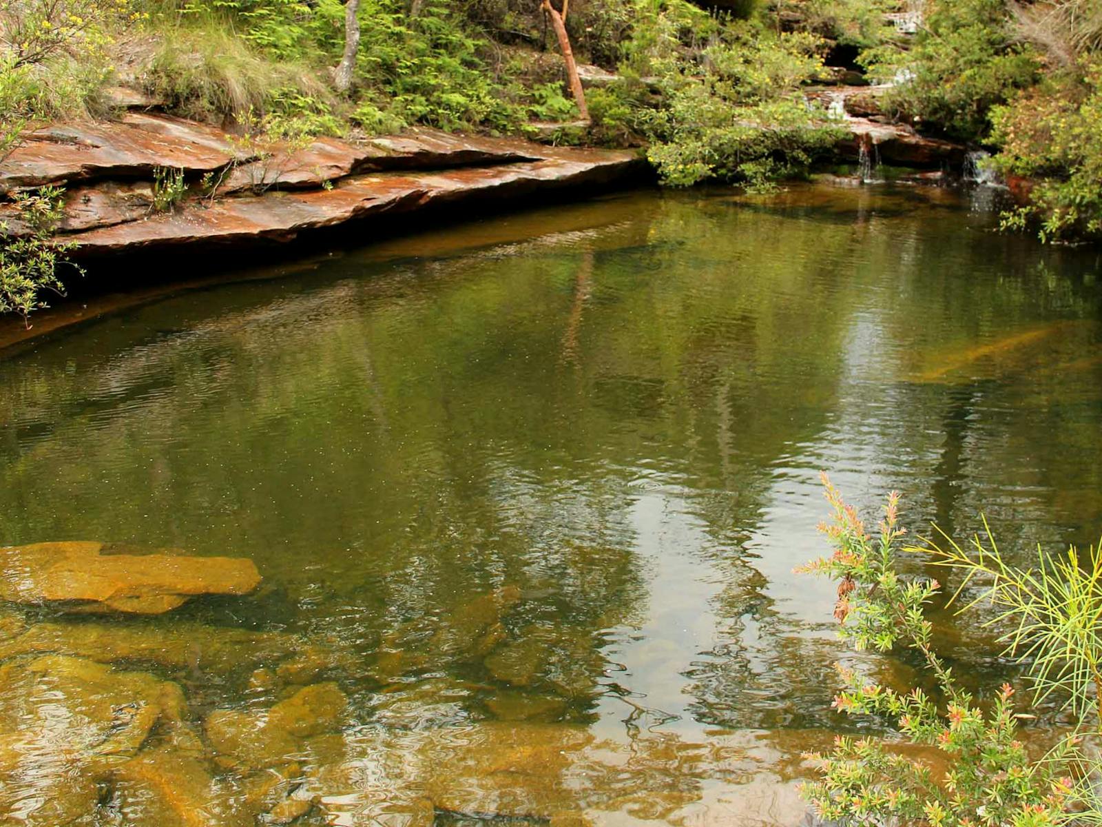 Hominy Creek Trail, Popran-Nationalpark. Foto: John Yurasek