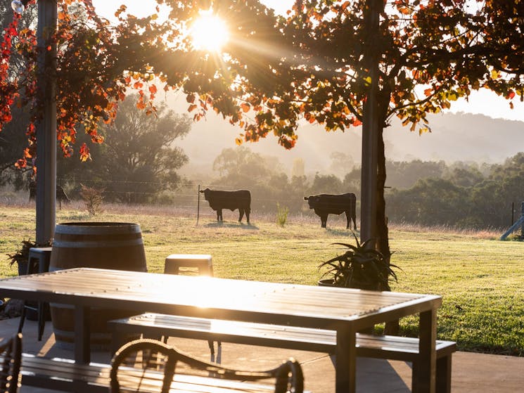 Farm stay in North East Victoria