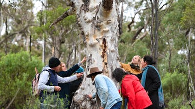 Tour guide and group outdoors learning about the land