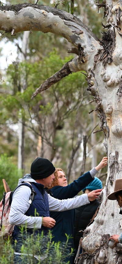 Tour guide and group outdoors learning about the land