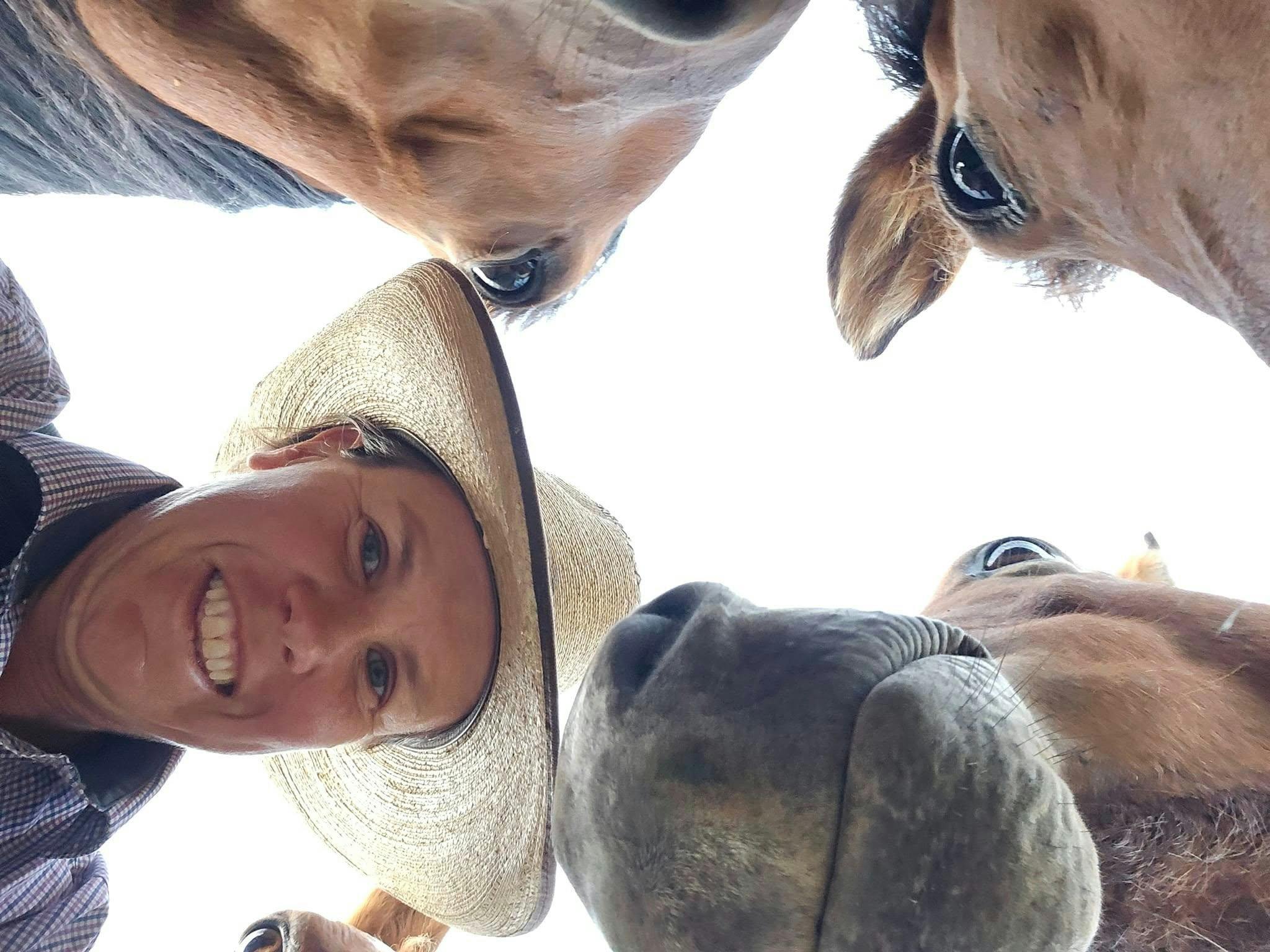 房主和马匹的自拍照