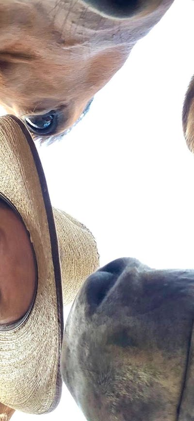 selfie of property owner and horses