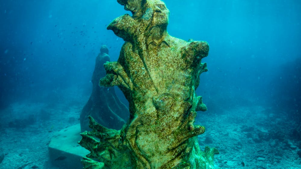 SeaLink North Queensland - Great Barrier Reef Snorkelling Day Tour