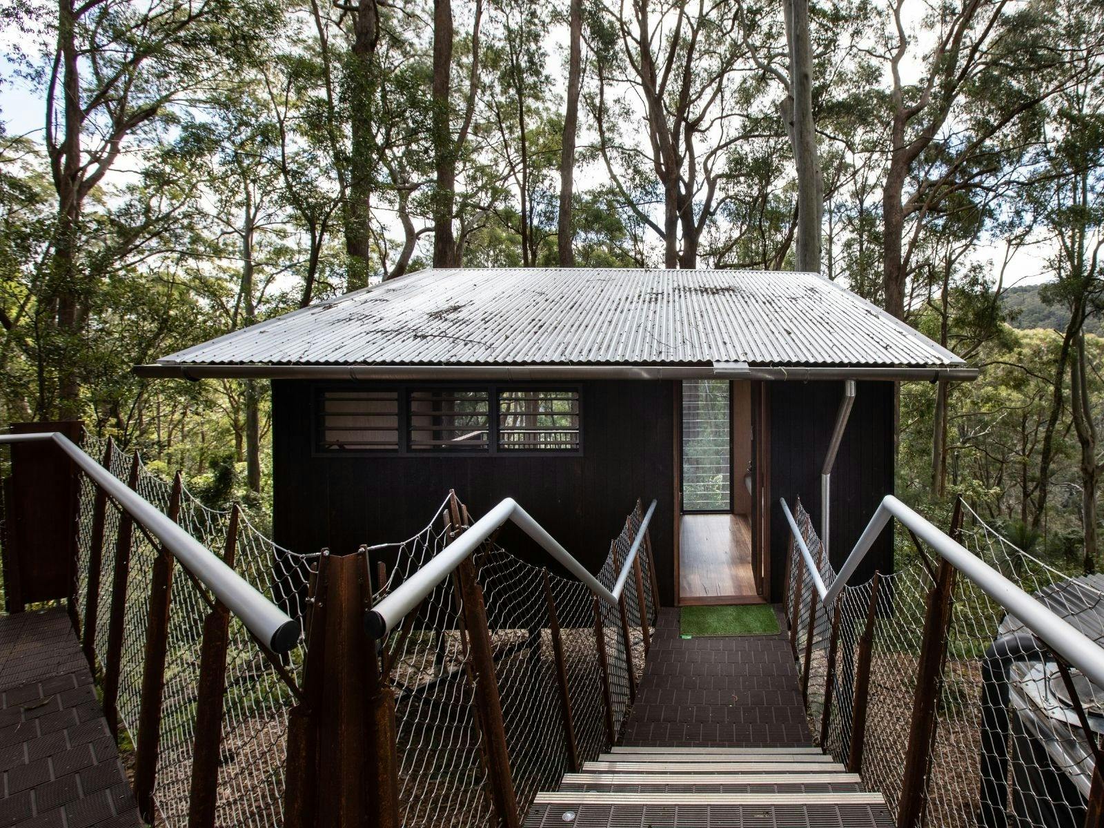Scenic Rim Trail