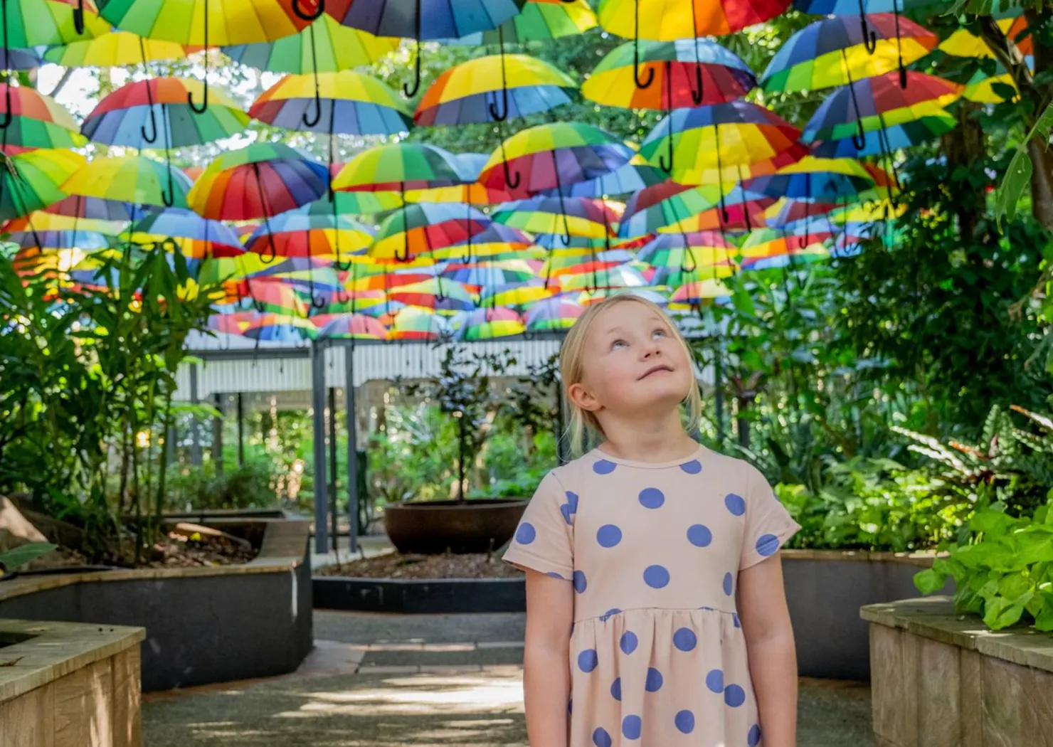 Looking up at the canopy of colour in The Rainbrella Project