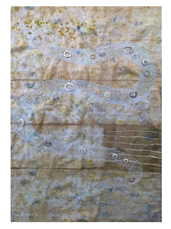 brown and white textile with snake embroidery