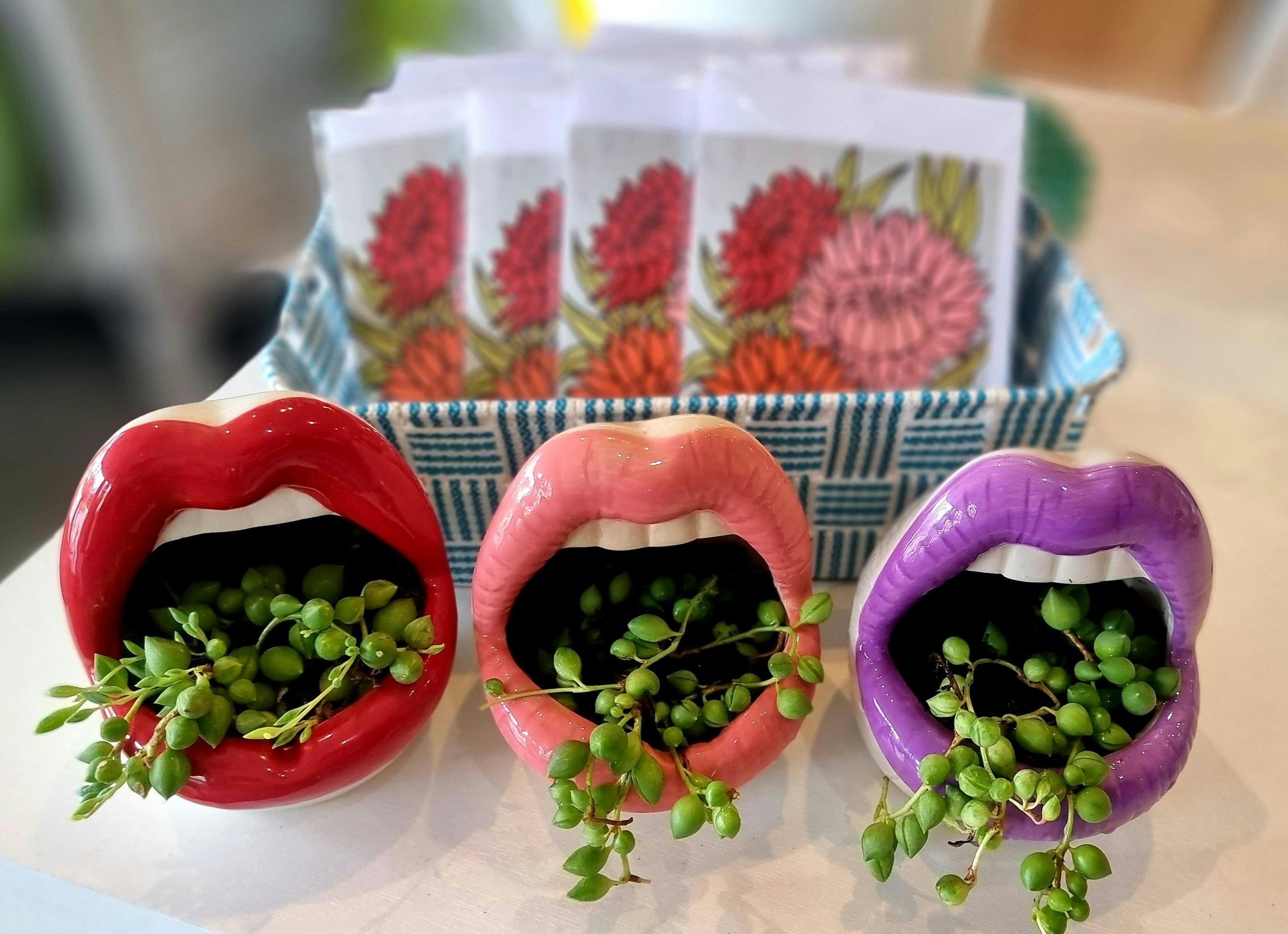 Plants n Pretty Pieces