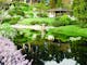 Experience the beautiful Cowra Japanese Gardens