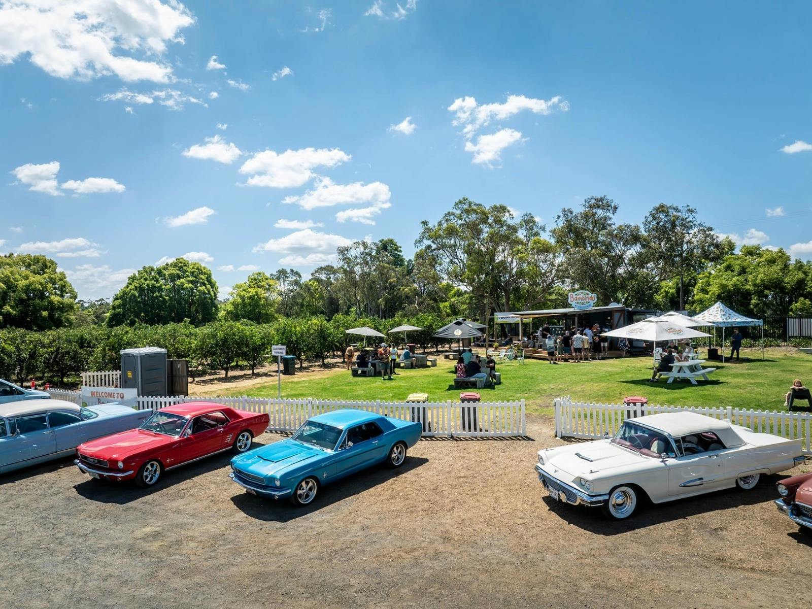 classic cars in front of bambinos cafe