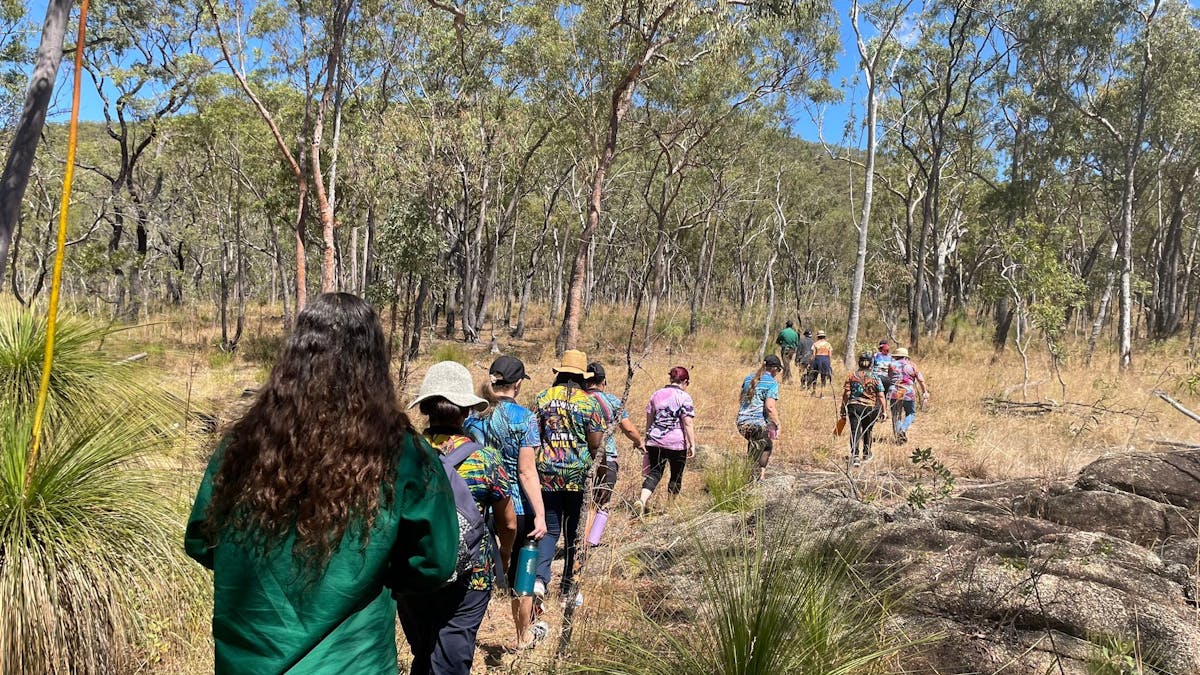Tour group walking through the bush